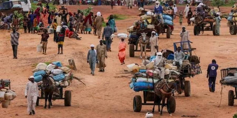 المملكة تعرب عن قلق إزاء استمرار القتال وتصاعد أعمال العنف في السودان - جورنالك