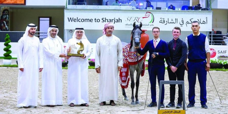 3 كؤوس لمربط دبي في «الشارقة للجواد العربي – السلالة المصرية» - جورنالك في السبت 12:08 صباحاً