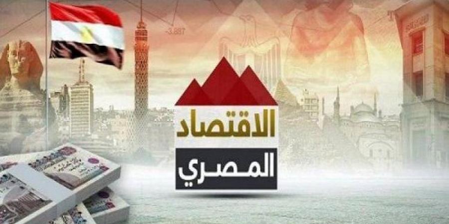 خلق فرص عمل وزيادة مستويات الدخل.. ماذا يعني رفع تصنيف مصر الائتماني؟ - جورنالك