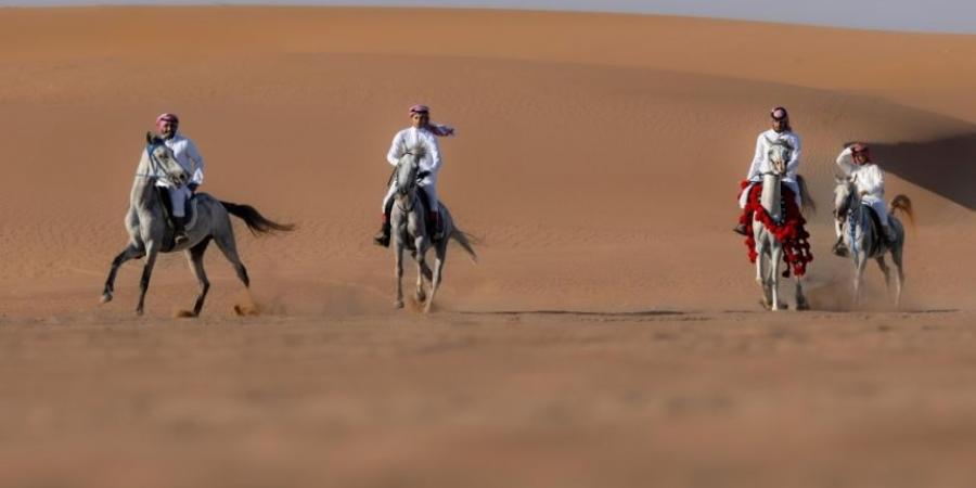 ركوب الخيل.. هواية عربية أصيلة تجذب الشباب في أملج - جورنالك السعودي