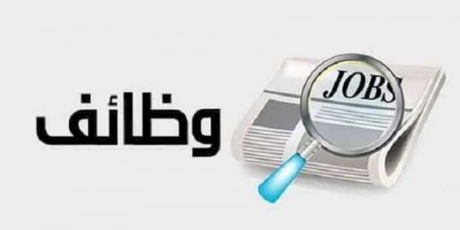 شركة البحيرة لتوزيع الكهرباء تعلن عن تعيينات جديدة.. اعرف نوعية الوظائف - جورنالك