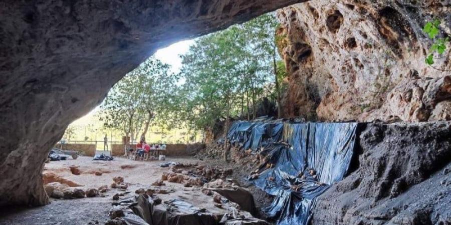 أقدم وصفة طبية بالأعشاب في العالم تُكتشف في هذه المنطقة بالمغرب - جورنالك