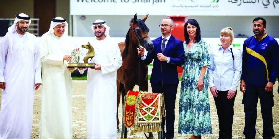 «عجيبة البداير» تتألق في مهرجان الشارقة للجواد العربي - جورنالك في الاثنين 10:44 مساءً