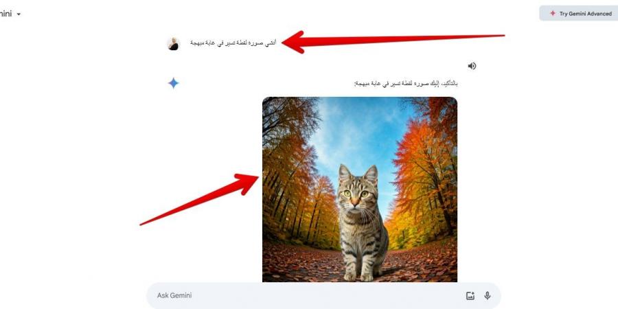 Gemini باللغة العربية.. اكتشف أحدث المزايا التي أطلقتها جوجل - جورنالك للتكنولوجيا