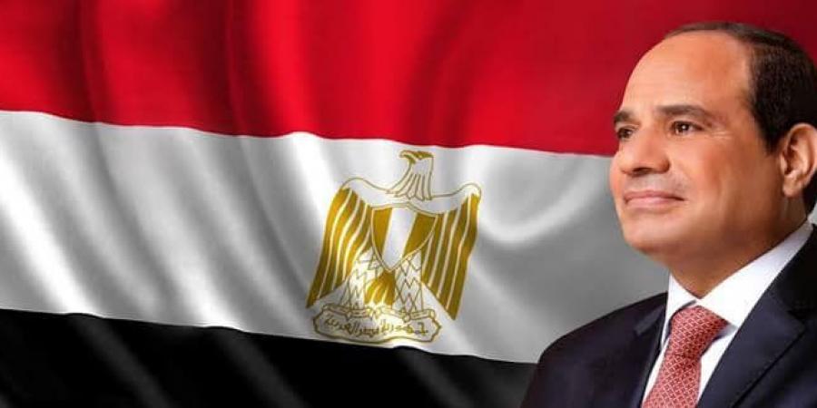 السيسي: مصر والولايات المتحدة نجحا معا في تحقيق المصالح المشتركة للبلدين الصديقين - جورنالك