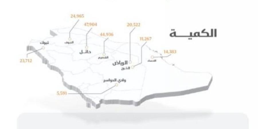 الأمن الغذائي : صرف 363 مليون ريال مستحقات لمزارعي القمح المحلي - جورنالك