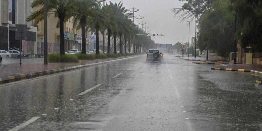 لوحة فنية.. سماء سكاكا تتزين بلمعان البرق وزخات المطر - جورنالك السعودي