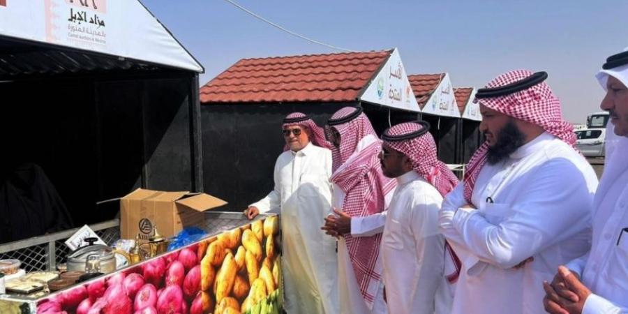 المدينة المنورة.. الحناكية تستضيف المزاد الأول للإبل - جورنالك السعودي