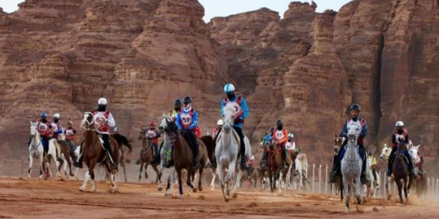 العُلا تستضيف كأسي اللجنة الأولمبية والبارالمبية السعودية للقدرة والتحمل - جورنالك