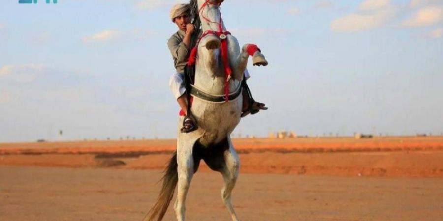 ركوب الخيل ورعايتها.. موروث شعبي يستهوي أهالي طريف - جورنالك