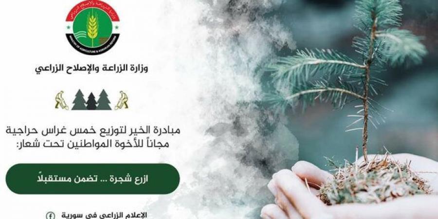 تستهدف توزيع نحو 500 ألف غرسة… الزراعة توضح آلية تنفيذ حملة ‏الخمس غراس المجانية - جورنالك