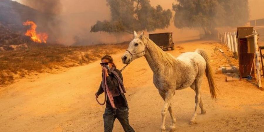 صور| فرق الإطفاء تكافح حرائق غابات في شمال شرق الولايات المتحدة - جورنالك السعودي