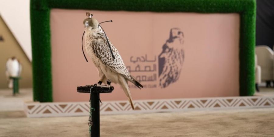 صور| نتائج أول 6 أشواط بمنافسات كأس نادي الصقور في حفر الباطن - جورنالك السعودي