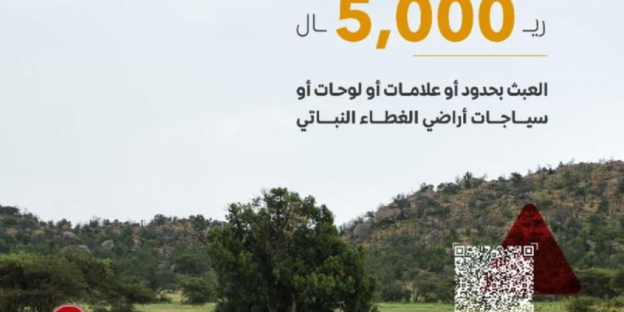 "مكافحة التصحر": 5000 ريال غرامة العبث بعلامات الغطاء النباتي وسياجاته - جورنالك السعودي