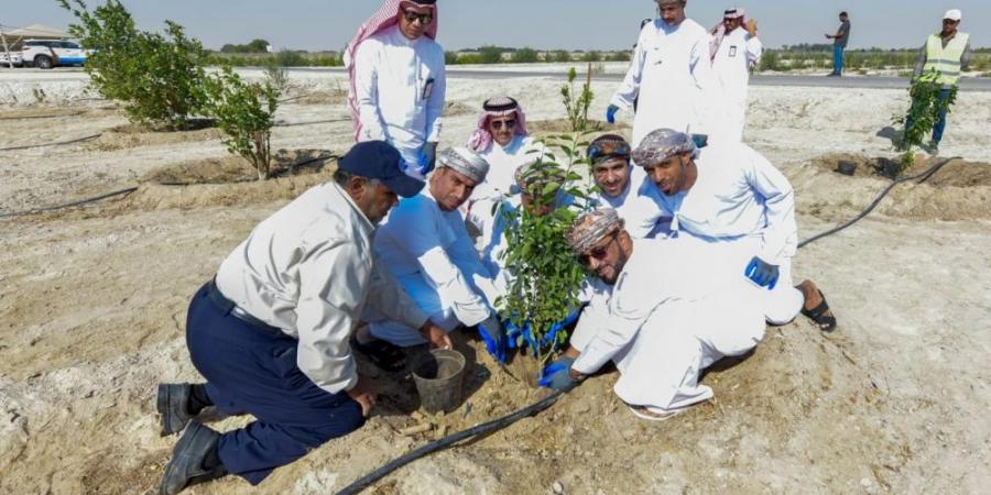 نقل تجربة الأحساء في الري الحديث لـ «موارد المياه العمانية» - جورنالك السعودي