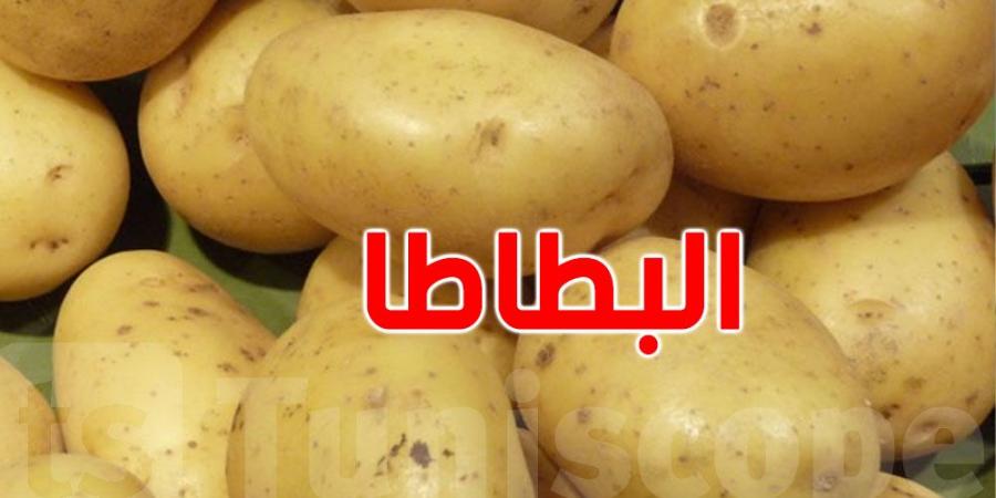 ما سبب نقص'' البطاطا'' في الأسواق التونسية ؟ - جورنالك