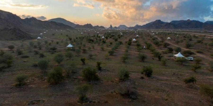 بدء استقبال طلبات الاستثمار الموسمي في المتنزهات بالمدينة المنورة - جورنالك