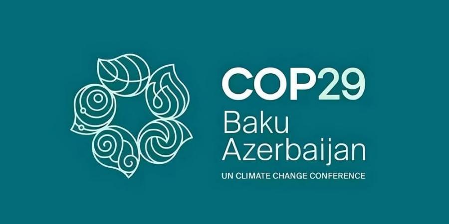 شباب الإمارات في COP29 .. نماذج مؤثرة في صياغة السياسات المناخية العالمية - جورنالك