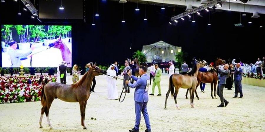 بطولة العرب لمربّي الخيل تنطلق اليوم - جورنالك في الاثنين 11:16 مساءً