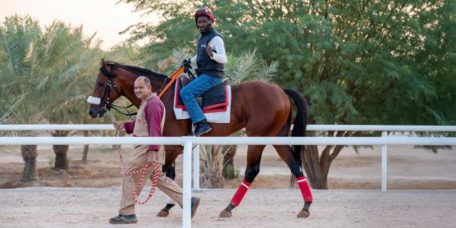 413 مهرا في مزاد سباقات الخيل - جورنالك الرياضي