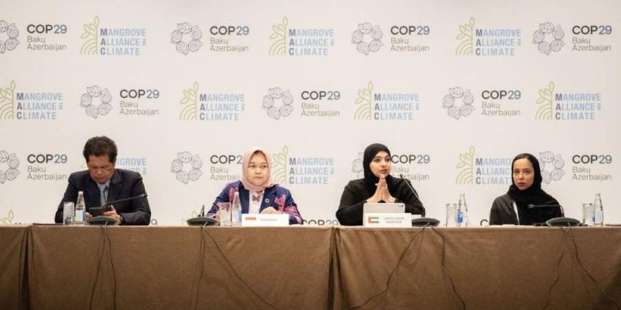 COP29 .. الإمارات تكشف عن استراتيجية 2031 لتحالف القرم من أجل المناخ - جورنالك في الخميس 04:58 مساءً