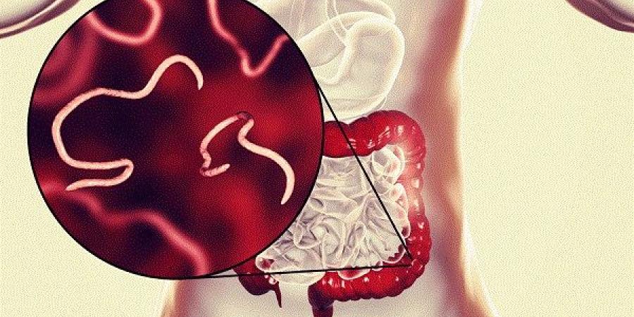نصائح لحماية طفلك من الإصابة بالديدان الدبوسية - جورنالك