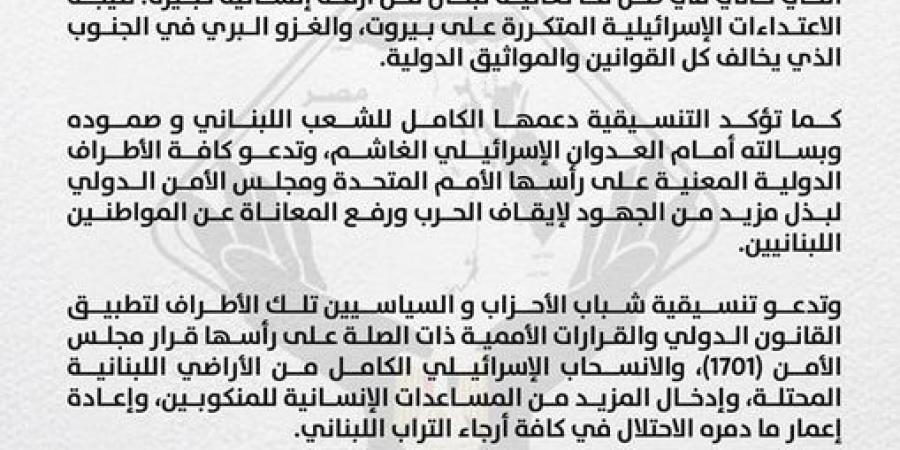 التنسيقية تطالب المجتمع الدولي بالتدخل لإيقاف الحرب ورفع المعاناة عن الشعب اللبناني - جورنالك