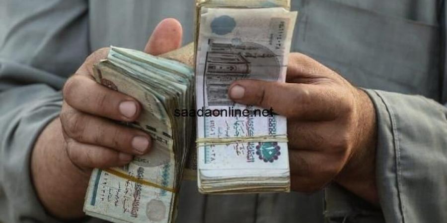 حالات الجمع بين معاشين وفق قانون التأمينات الجديد - جورنالك