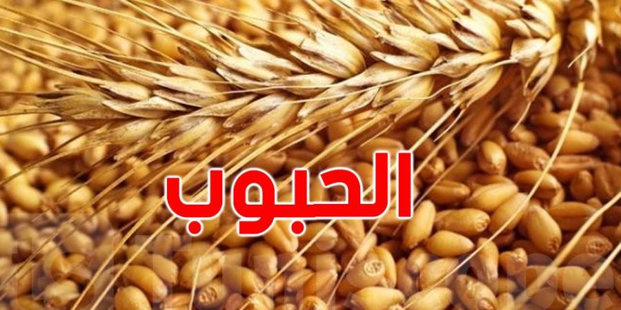 ديوان الحبوب يطرح مناقصة لشراء 200 ألف طن من القمح اللين والصلب - جورنالك