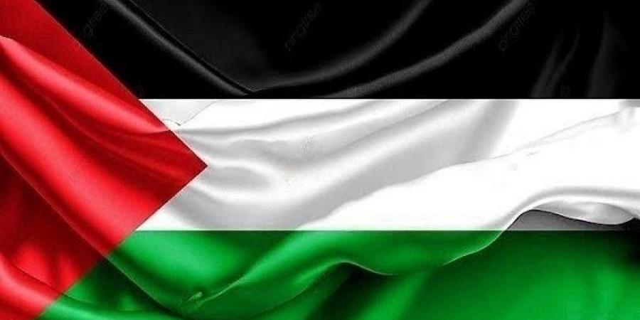 الخارجية: مصر تحيي اليوم الدولي للتضامن مع الشعب الفلسطيني - جورنالك