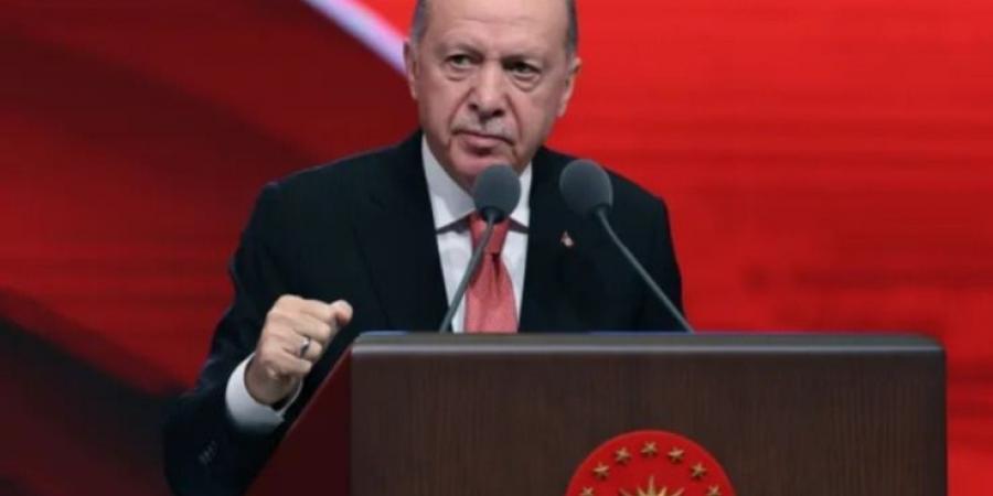 الرئيس أردوغان يأمل أن تواصل قوات المعارضة السورية تقدمها - جورنالك