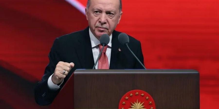 أردوغان يأمل أن تواصل قوات المعارضة السورية تقدمها: الهدف دمشق #عاجل - جورنالك