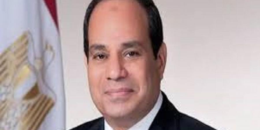 السيسي: الأهداف المشتركة لمصر والدنمارك فرصة ثمينة لتعزيز التعاون بين بلدينا - جورنالك