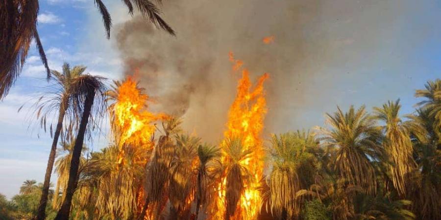 حرائق ضخمة بالولاية الشمالية - جورنالك السوداني