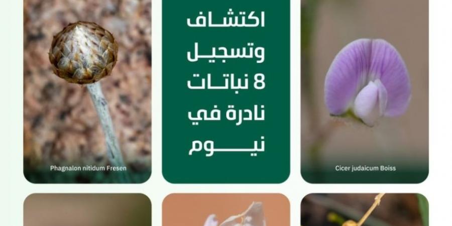 المملكة تسجل 8 أنواعٍ جديدة من النباتات النادرة على مستوى العالم - جورنالك السعودي