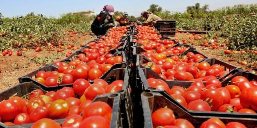 وزير الزراعة: التصدير لإسرائيل متوقف نهائياً - جورنالك