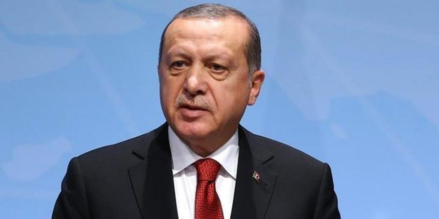 أردوغان: أشكر الرئيس السيسي على استضافة القمة الـ11 لمنظمة الدول الثماني النامية - جورنالك