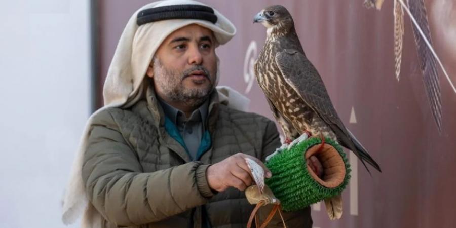 تتويج أبطال (سيف الملك) في أغلى أشواط مهرجان الصقور - جورنالك السعودي