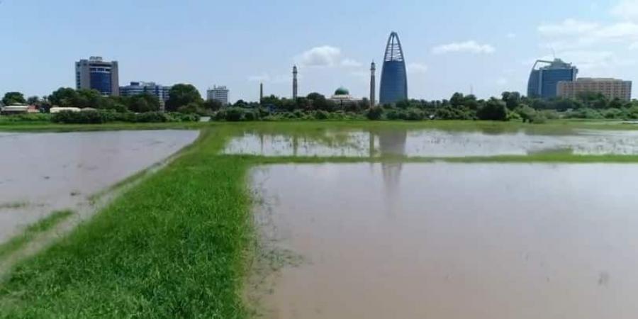 فيضانات بالنيل الأبيض بسبب الميليشيا..ما القصة - جورنالك السوداني