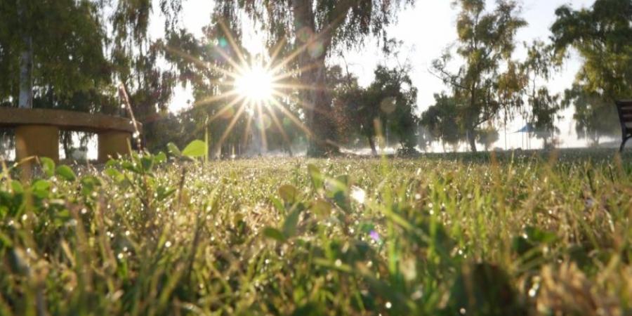 درجات حرارة صفرية.. موجة البرد القارسة تضرب رفحاء - جورنالك السعودي