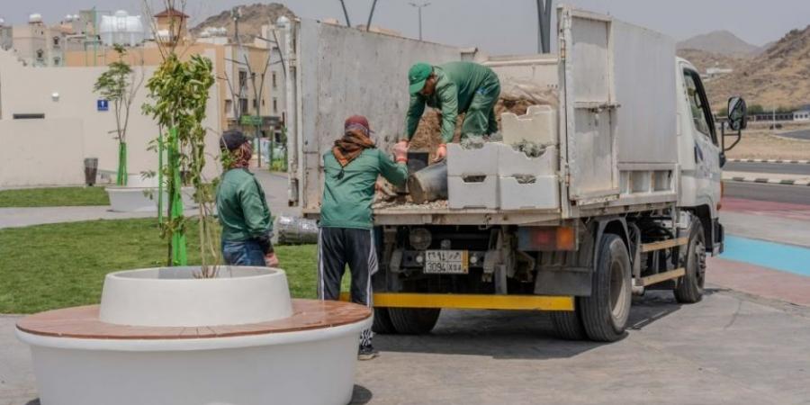 خطة زراعية شتوية.. 250 ألف شتلة تحسن جودة الحياة بالطائف - جورنالك السعودي