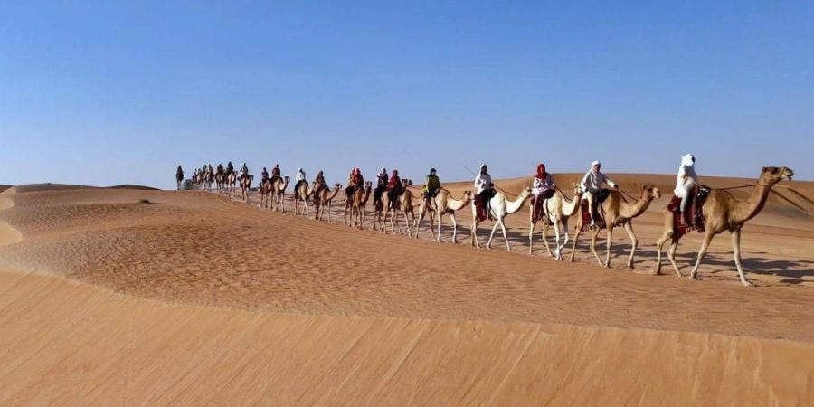 قافلة الهجن الـ 11 تصل محطتها الأخيرة في دبي - جورنالك في الاثنين 06:48 صباحاً