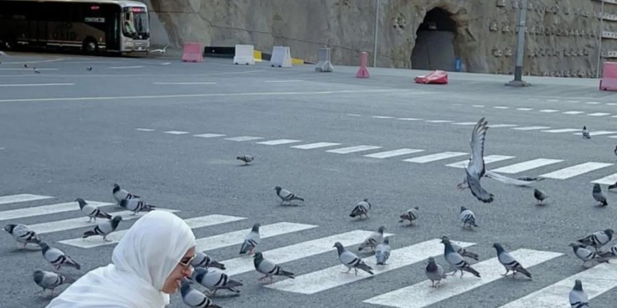 بعد الانفصال عن زوجها.. رنا سماحة تؤدي مناسك العمرة: بداية جديدة وحياة جديدة - جورنالك