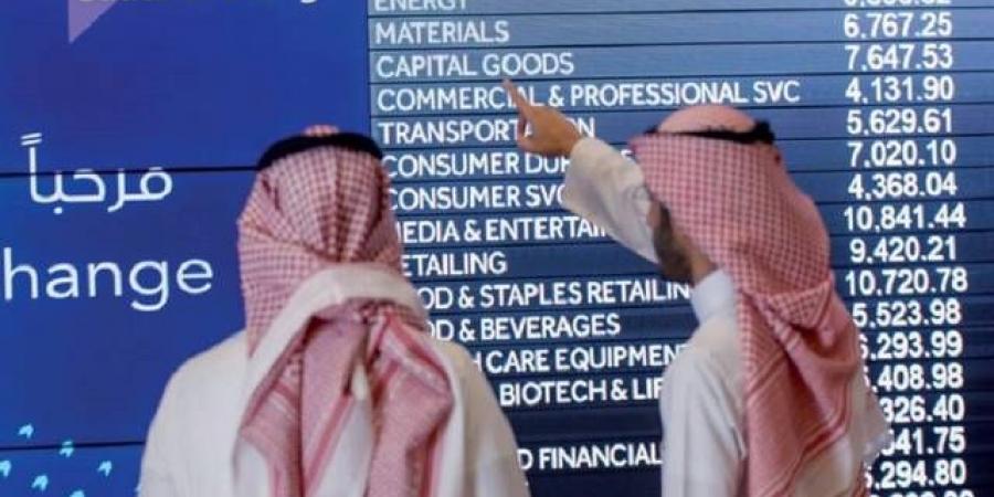 سهم "إكسترا" يتصدر تراجعات السوق السعودي بأعلى خسائر في 4 سنوات - جورنالك