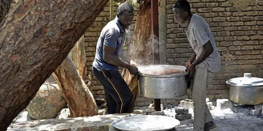 السودان ينسحب من نظام عالمي لمراقبة الجوع - جورنالك السوداني