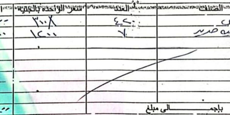 المصري يرفض سداد قيمة تلفيات ملعب برج العرب في مباراة الأهلي  - جورنالك