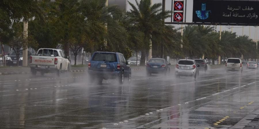 إنذاران أصفر وبرتقالي.. أمطار وضباب وصواعق على أجزاء من الشرقية - جورنالك السعودي