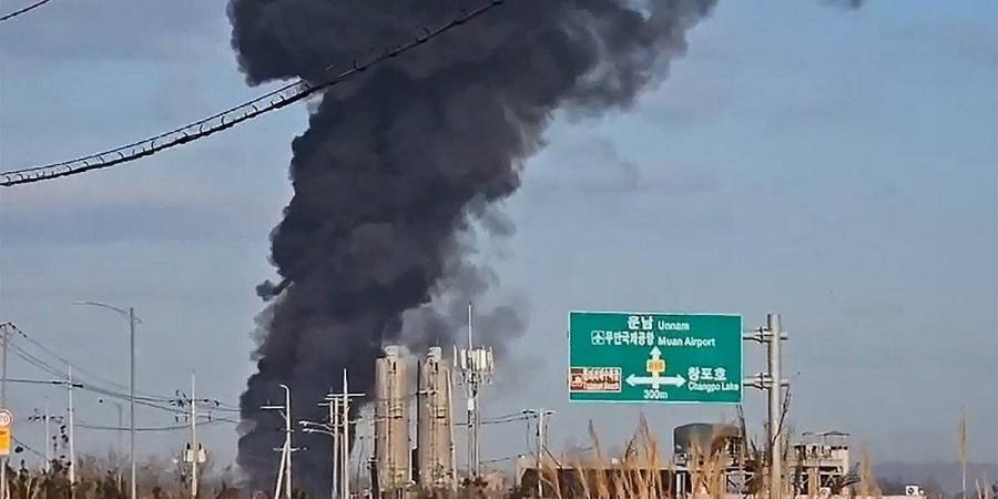 على متنها 181 شخصاً .. جنسيات ركاب الطائرة المحطمة في كوريا الجنوبية - جورنالك في الأحد 05:57 صباحاً