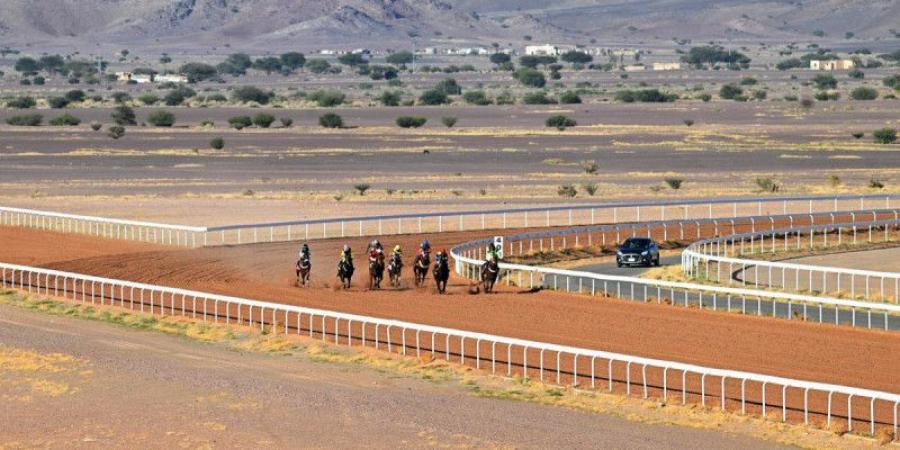 فروسية المدينة.. 5 أبطال في السباق السادس - جورنالك الرياضي