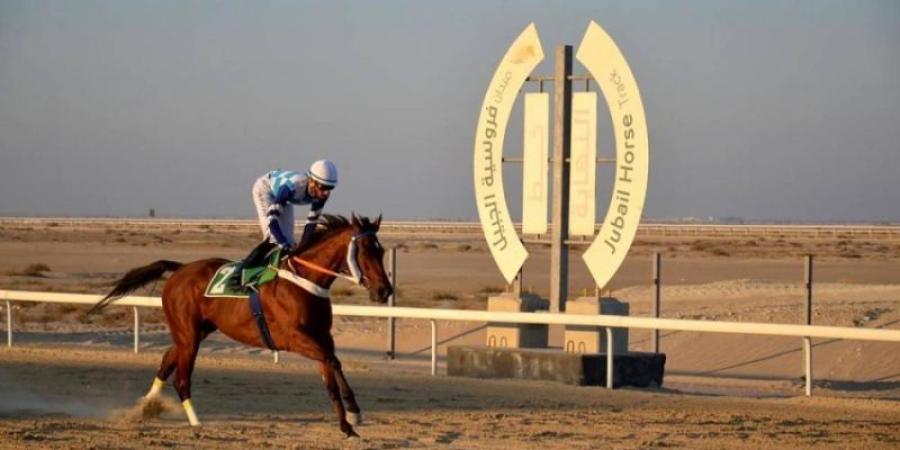 ميدان فروسية الجبيل يقيم سباقه الثامن للموسم الحالي - جورنالك